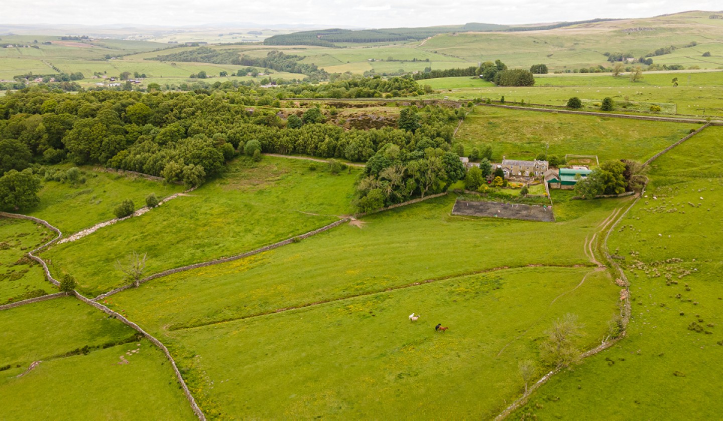 farmland drone shot